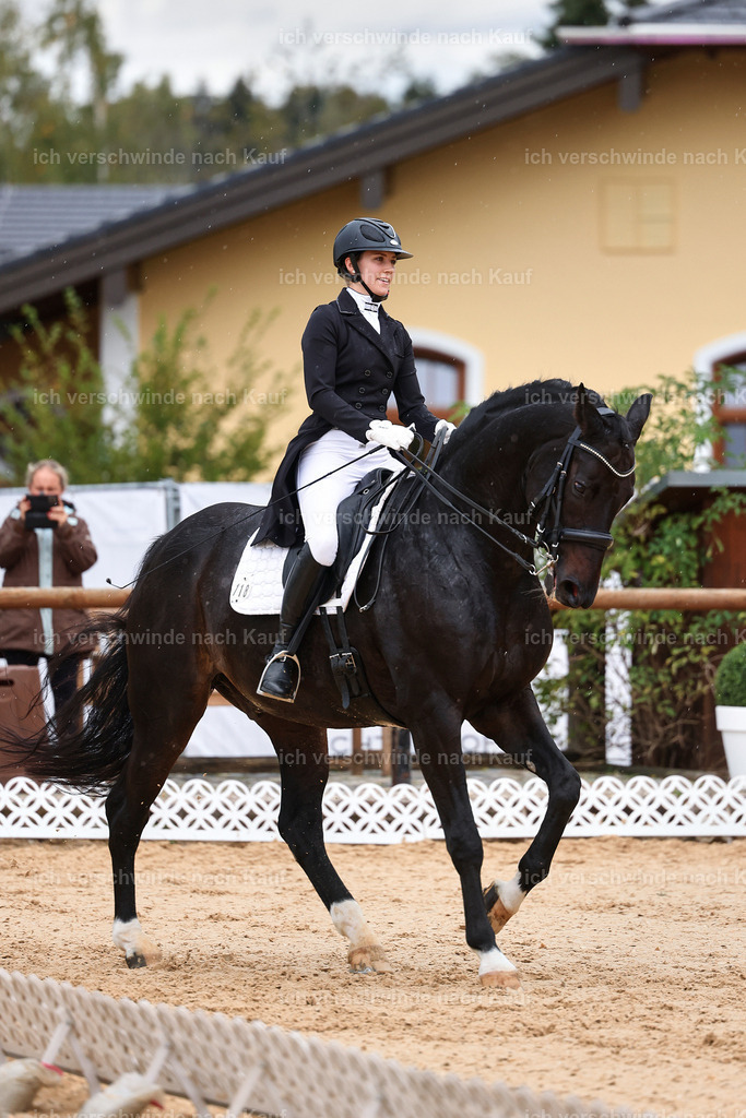 8_1-118-Klasse S_  -StoibPH-3906 | working equitationturnier fotograf videograf stoibphotography marixx film working equitation deutschland reitsport turnierfotografie eventfotografie equestrian events