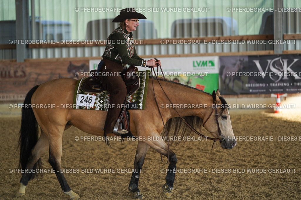 DSC08379 | Pferdegrafie