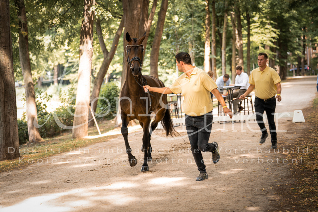 FrPfM00154 | Leoni Ertmer Photography - Realisiert mit Pictrs.com