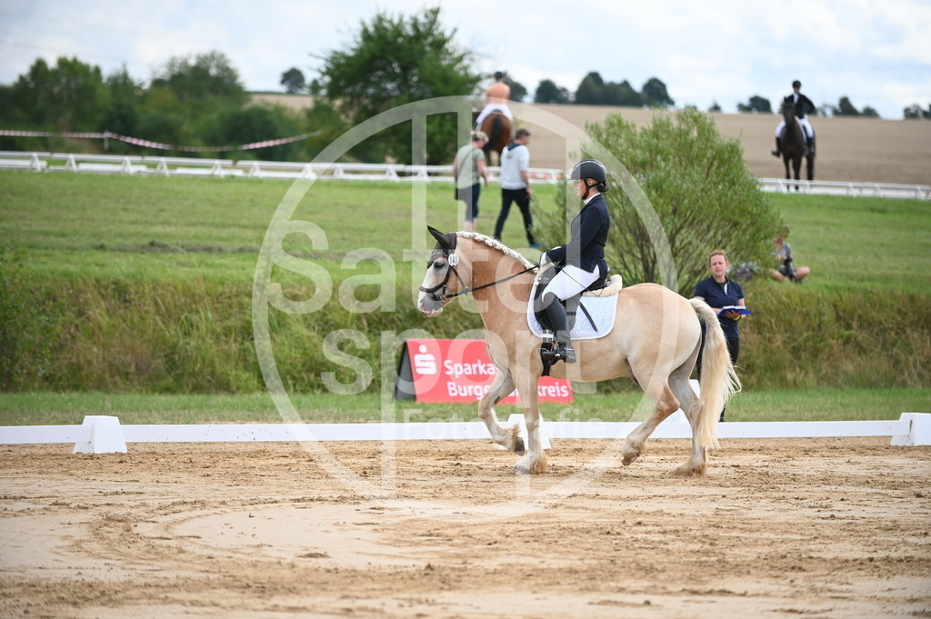 DSC_7379 | sattelsport - Realisiert mit Pictrs.com