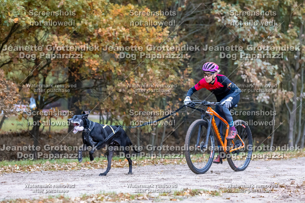 Dog Paparazzi - SD CaniX Championship 2025-82 | Dog Paparazzi Jeanette Grottendiek Fotografie & Videografie