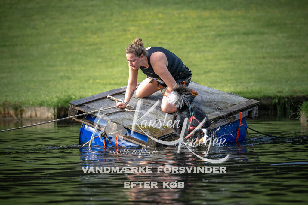 _ZZ937570708 | kk-dogfotos