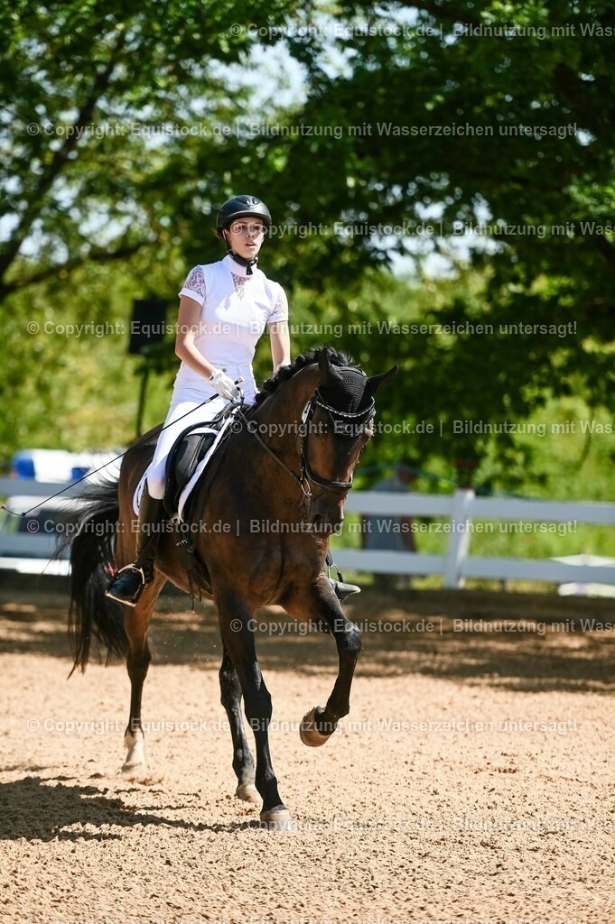 20230715_02_Dressurreiterprüfung Kl.L_0064 | equistock