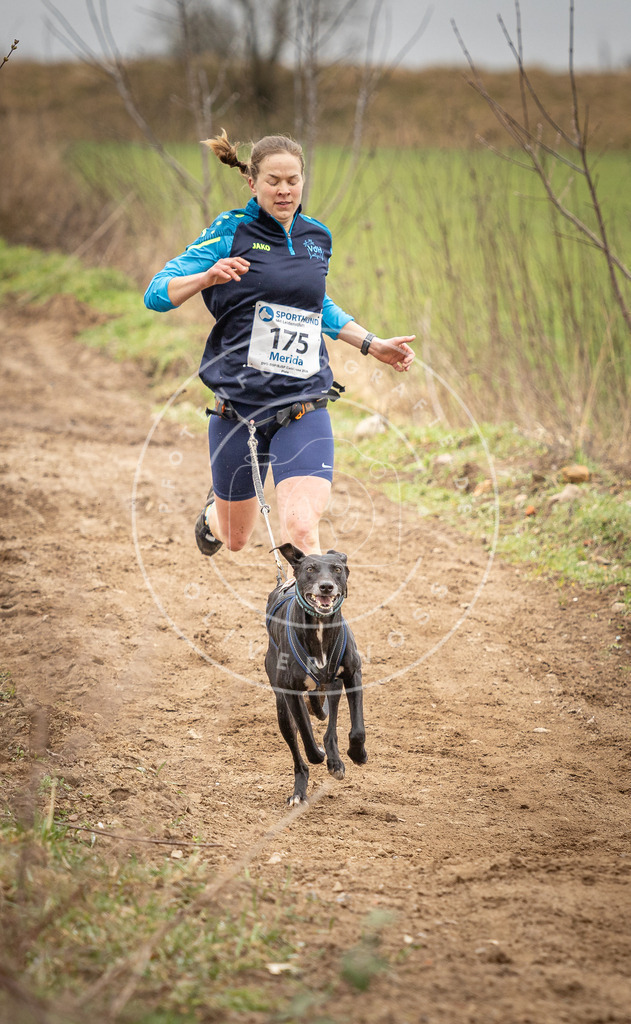 DV3A1997 | Hundefotografie, Tierfotograf, Pfotenfotografie, Fotoshooting Hund, Hunde Portrait, Hundesport, Hundeportraits, Heideshooting, Hunde, Sportfotograf, Hundefotograf, Turnierhundsport, THS,  - Realisiert mit Pictrs.com