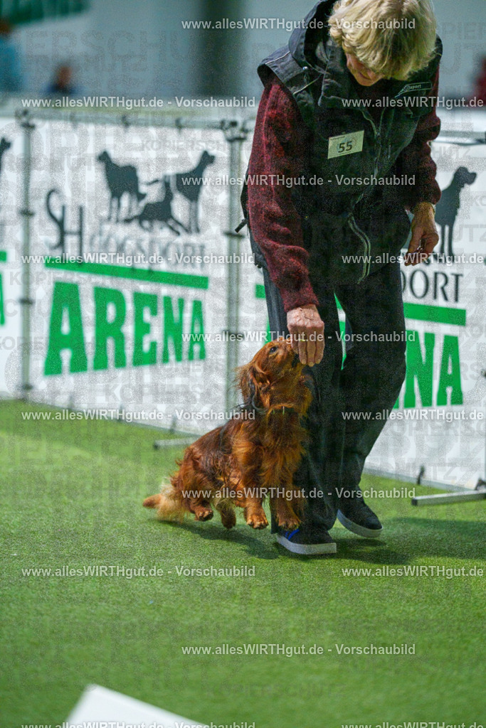 7R506845 | Professionelle Tierfotografie in Mönchengladbach von Daniel Wirth (allesWIRTHgut). Liebevolle & natürliche Bilder von Hunden & Katzen für unvergessliche Erinnerungen.