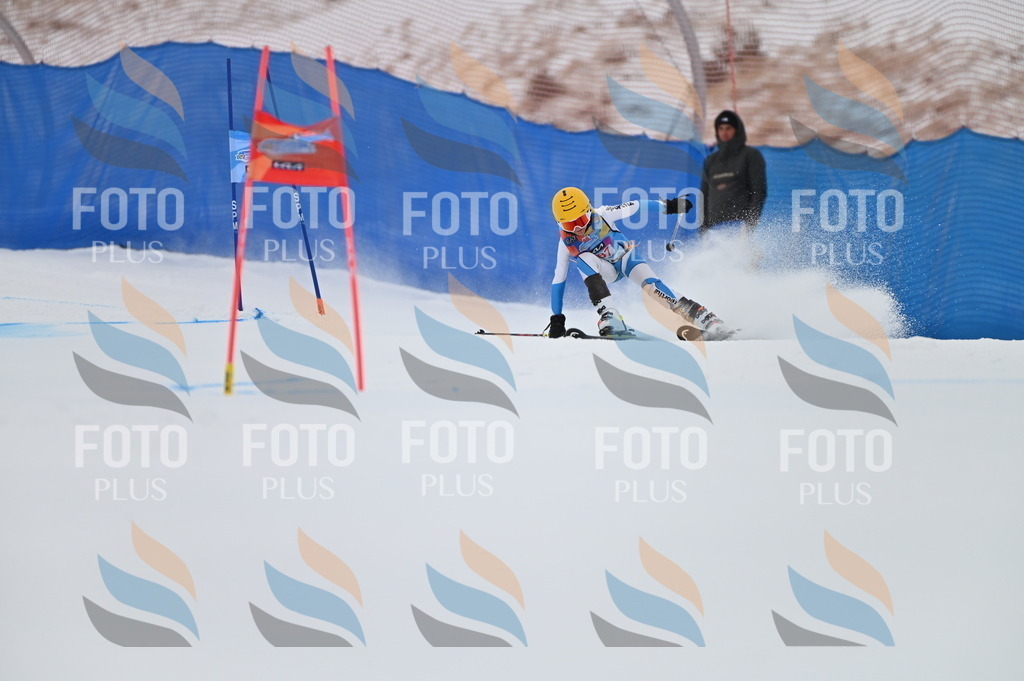 BGV_1253 | holidayphoto