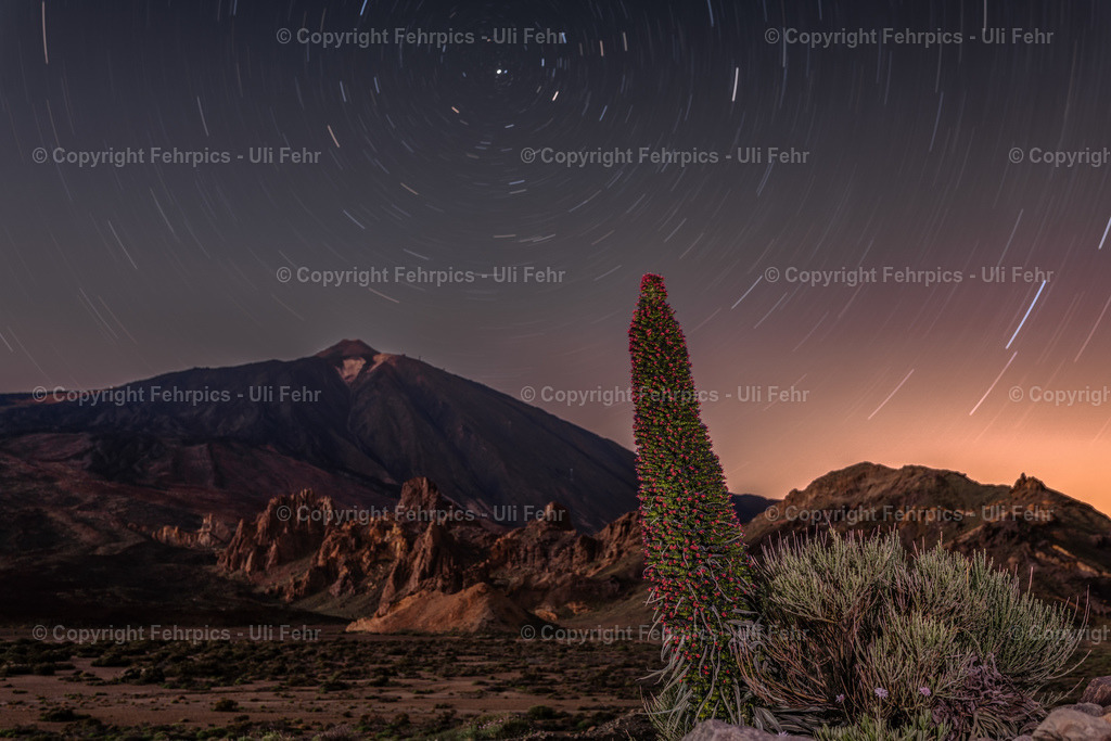 Tajinaste with startrails and Mt. Teide, Tenerife | Fehrpics - hochwertige Fotoprodukte rund um Landschaft, Natur, Sterne & Milchstraße. - Realisiert mit Pictrs.com