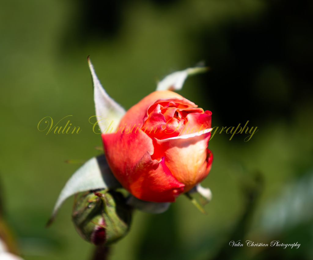 DR 10 | Christian Vulin  - Realisiert mit Pictrs.com