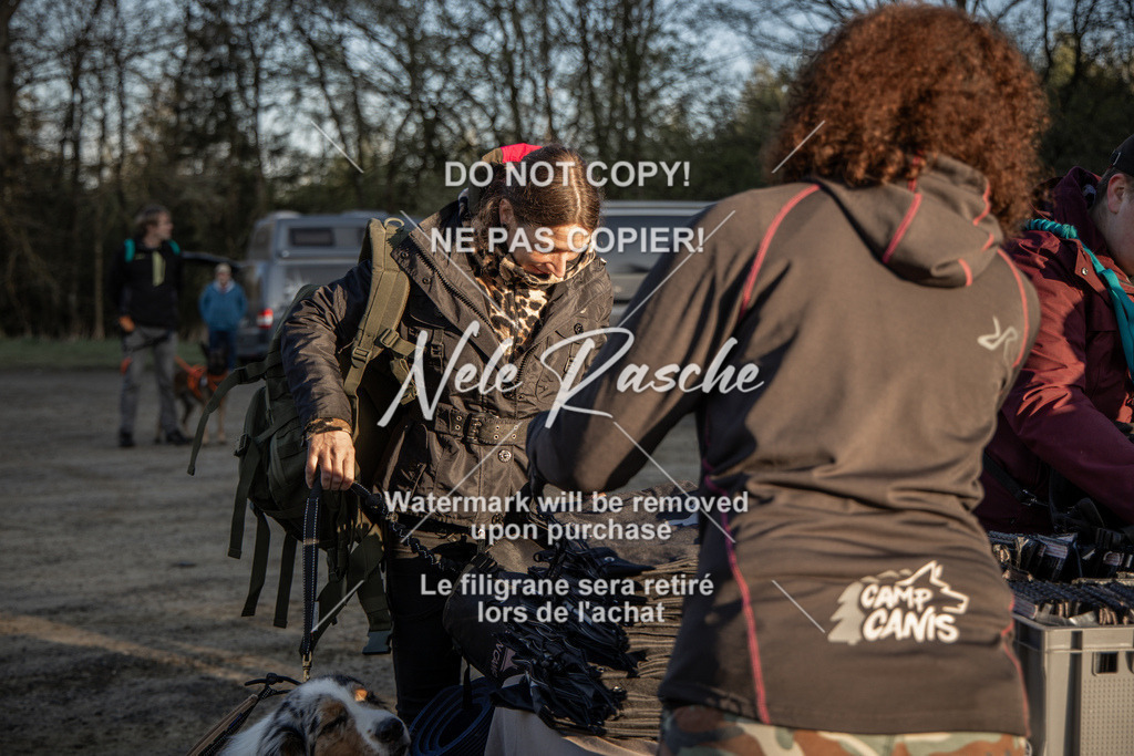 NR__0205-2 | nelerasche