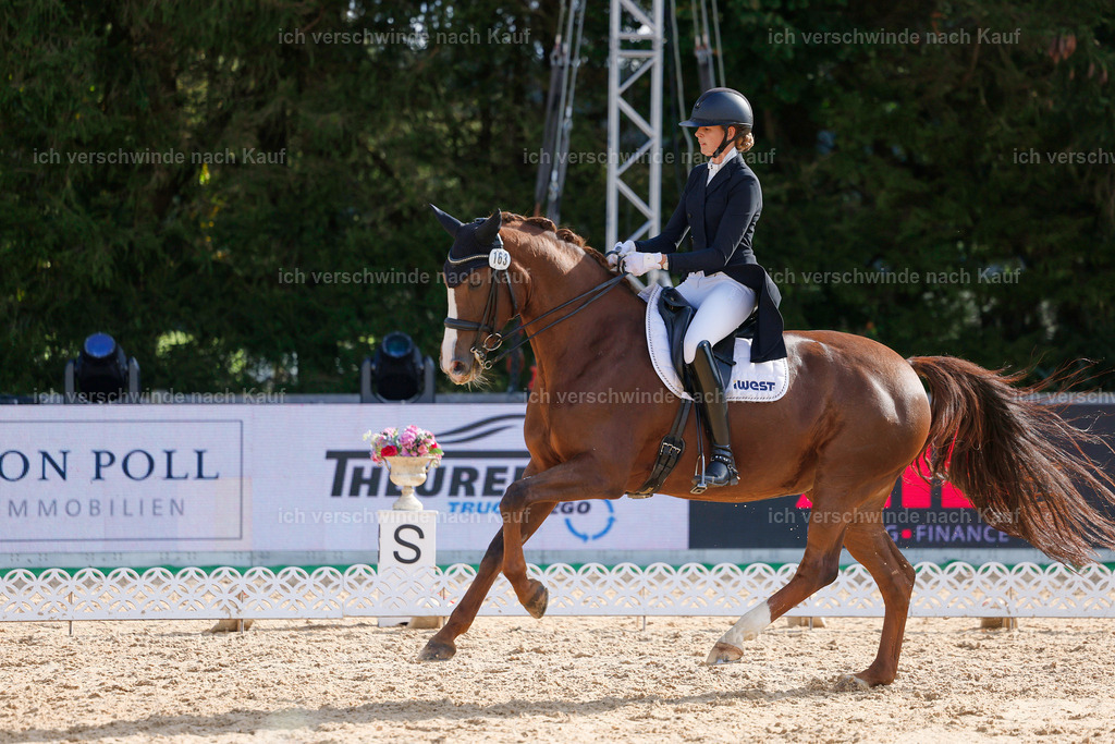 09_2-163-DRESSUR  S_  -StoibPH-5741 | working equitationturnier fotograf videograf stoibphotography marixx film working equitation deutschland reitsport turnierfotografie eventfotografie equestrian events
