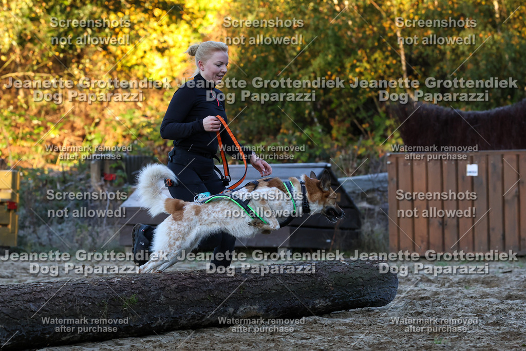 Dog Paparazzi - Strongdog 10-25-479 | Dog Paparazzi Jeanette Grottendiek Fotografie & Videografie - Realisiert mit Pictrs.com