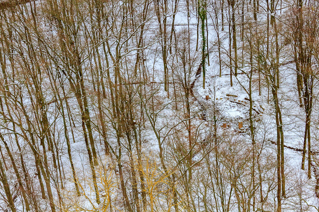 Luftbild: Waldfriedhof Bienwaldruhe bei Schnee im Winter in Kandel im Bundesland Rheinland-Pfalz in Deutschland. Foto: IMG_36268.jpg vom 02.01.2011 durch Werner Riehm/FLY-FOTO.de