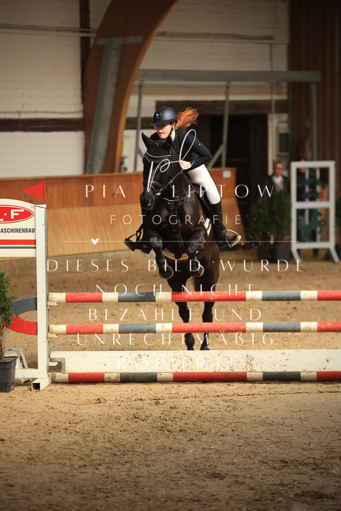 IMGT9789 | pl-fotografie