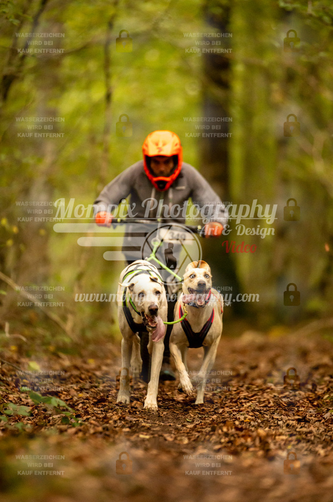 TSB_2023_E1_DS2-17 | mompixphotography