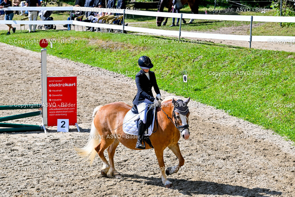 ASVÖ_ Reiten Bezirksmeisterschaft_ 24.08.2025-27 | 24.08.2025, AUT, ASVÖ, Reiten Bezirksmeisterschaft 2025Dressur und Springreiten©fodo.media / Harald Dostal - Realisiert mit Pictrs.com