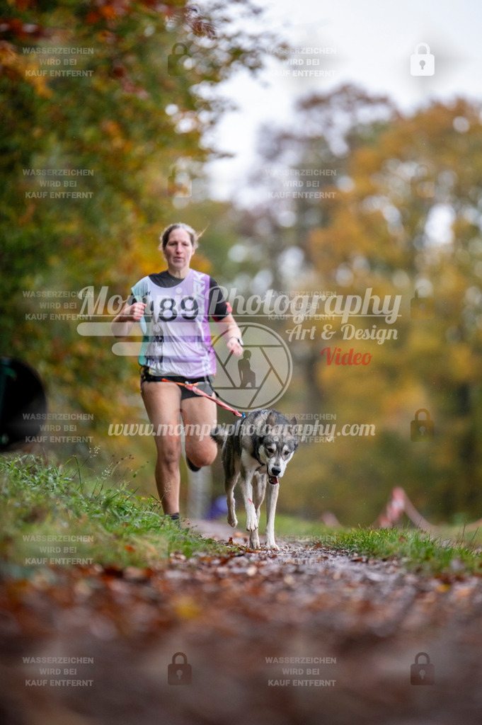 DBT_DAKM_SA_4_11_2023_Canicross-114 | PayLife