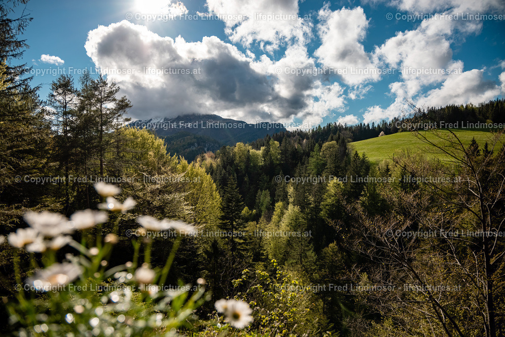 Marienstein Naturpark Oetscher Tormaeuer-4321 | Fotos und Fotoprodukte - Realisiert mit Pictrs.com