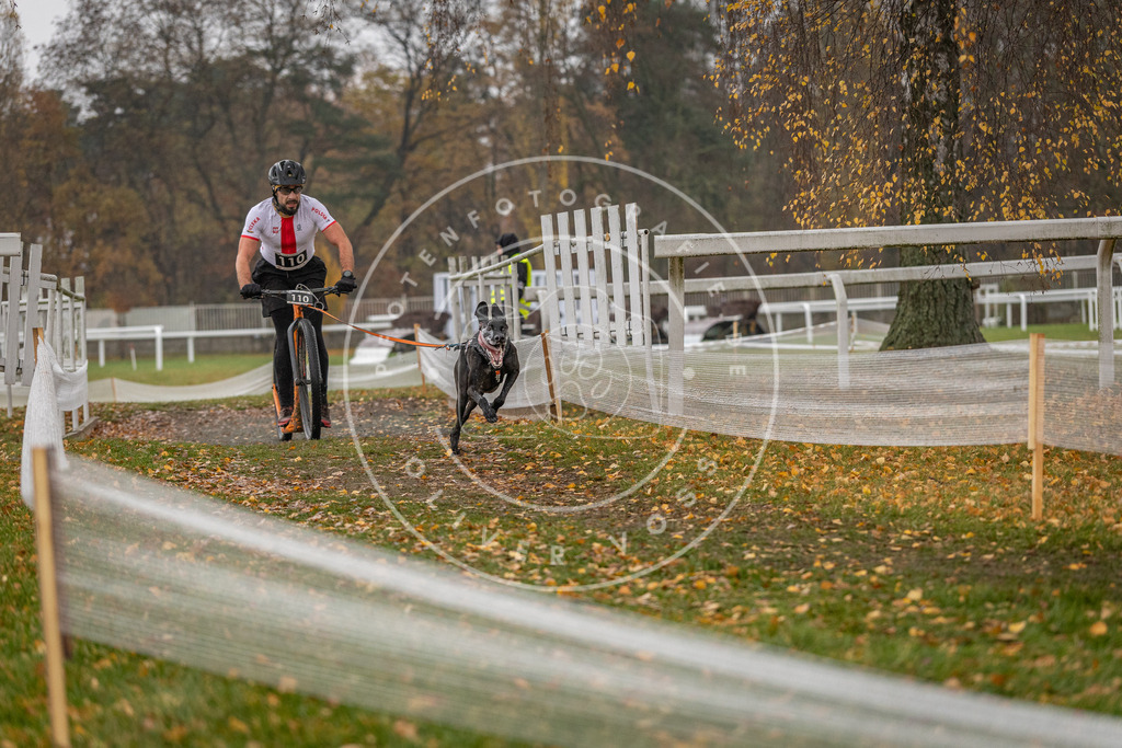 CaniXpix_DV3A7605 | Hundefotografie, Tierfotograf, Pfotenfotografie, Fotoshooting Hund, Hunde Portrait, Hundesport, Hundeportraits, Heideshooting, Hunde, Sportfotograf, Hundefotograf, Turnierhundsport, THS,  - Realisiert mit Pictrs.com