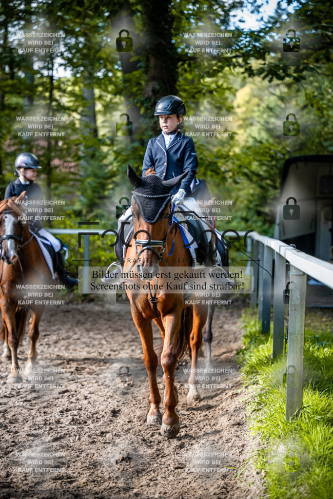 2026-10-Helle-20-4-0072 | Entdecke hochwertige Reitturnierfotos von Foto Oger. Professionell, emotional und authentisch – jetzt Lieblingsmomente im Shop bestellen.Deutschlandweite Turnierfotografie. - Realisiert mit Pictrs.com