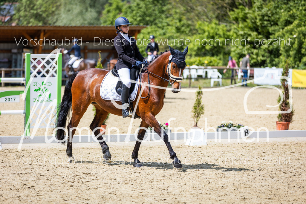 Donop24-EDre-046 | MomenTaufnahmen Pferdesportfotos