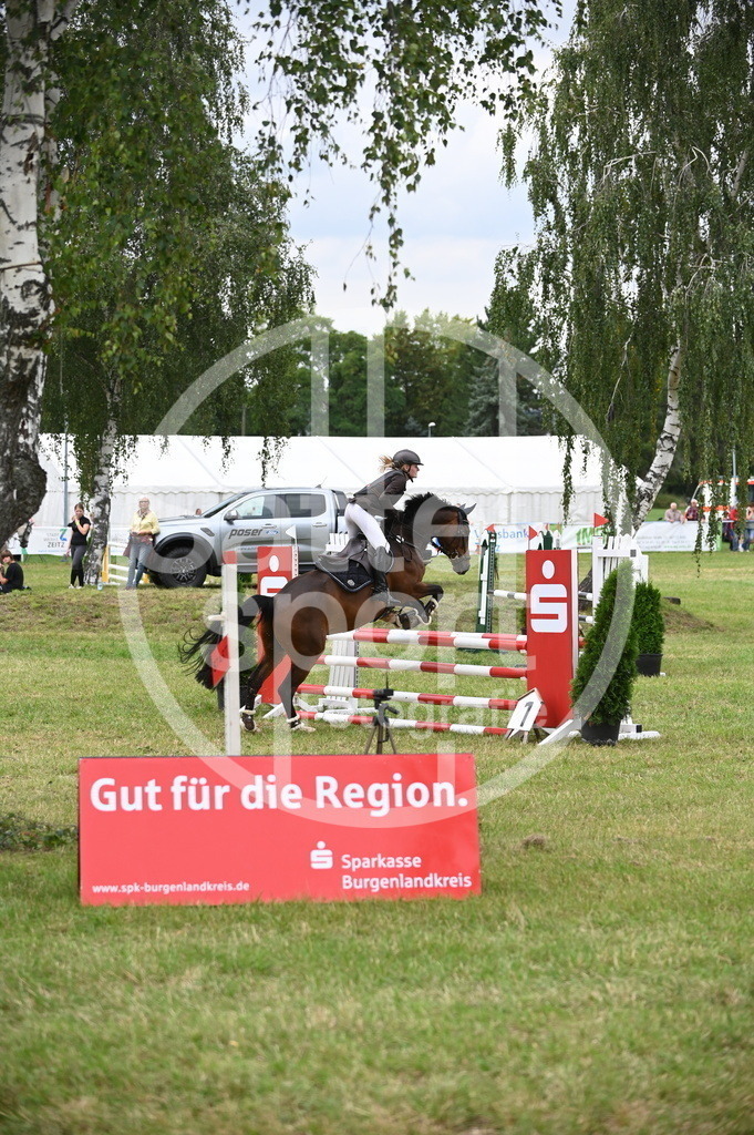 DSC_2230 | sattelsport - Realisiert mit Pictrs.com