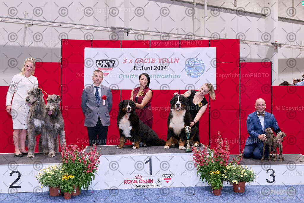 202406_ÖKV-IHA-Tulln24_NZ9_8628 | proPHOTO - Realisiert mit Pictrs.com