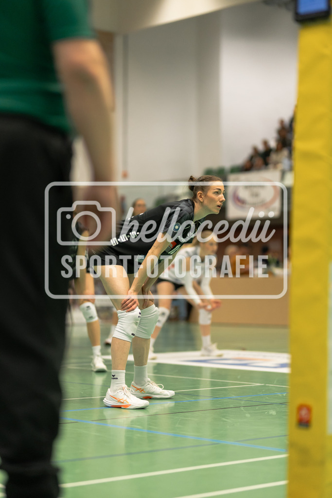 Volleyball I Frauen I Saison 2025-2026 I 2. Bundesliga I VC Osnabrück - SCU Emlichheim-54 | realhellocedii - Realisiert mit Pictrs.com