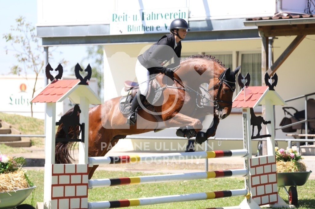 IMG_6331 | Pauline Ullmann Photography - Realisiert mit Pictrs.com