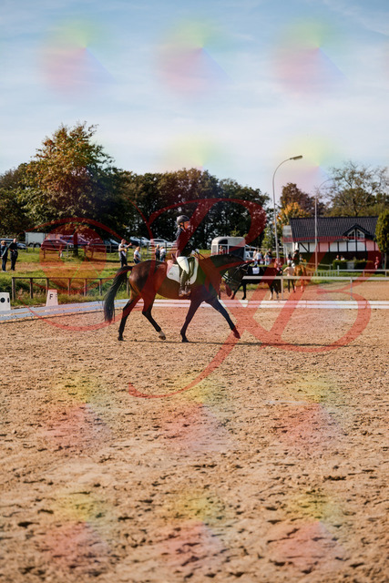 2026_10_03_Siefer-Hof_133509_Z63_94273651 | Professionelle Reitsport-, Turnier- und Eventfotografie von Robert Broda. Galerien mit ausgewählten und bearbeiteten Bildern direkt online ansehen und bestellen.