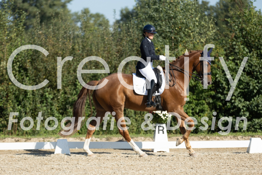 IMG_0502 | Creatify Fotografie