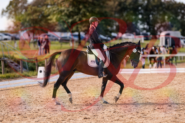 2026_10_03_Siefer-Hof_132532_Z81_76509791 | Professionelle Reitsport-, Turnier- und Eventfotografie von Robert Broda. Galerien mit ausgewählten und bearbeiteten Bildern direkt online ansehen und bestellen.
