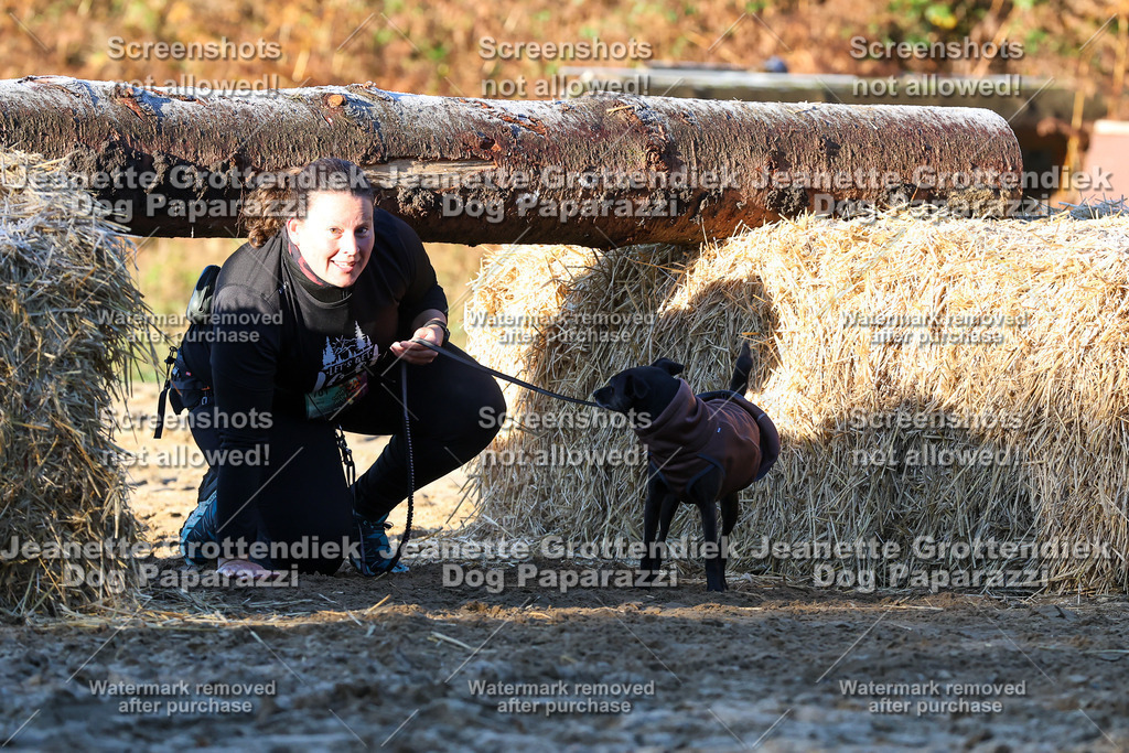 Dog Paparazzi - Strongdog 10-25-718 | Dog Paparazzi Jeanette Grottendiek Fotografie & Videografie - Realisiert mit Pictrs.com