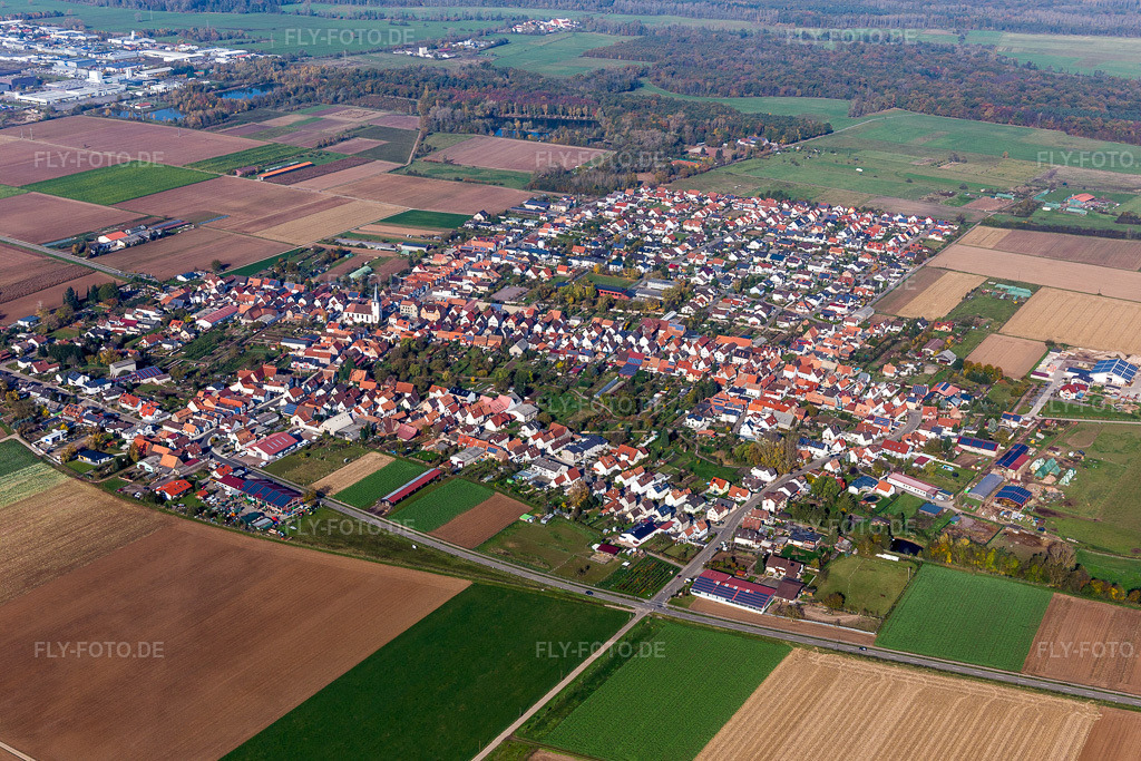 Luftbild: landwirtschaftlichen Feldern und Nutzflächen in Ottersheim bei Landau im Bundesland Rheinland-Pfalz in Deutschland. Foto: IMG_104309.jpg vom 31.10.2017 durch Werner Riehm/FLY-FOTO.de