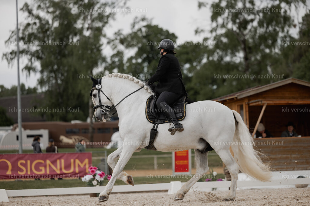 WE_DR_Stoib_307_PI2025_227 | Pferd International München 2025