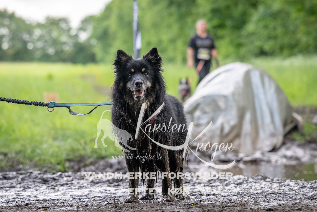 1332_ZZ91454 | kk-dogfotos
