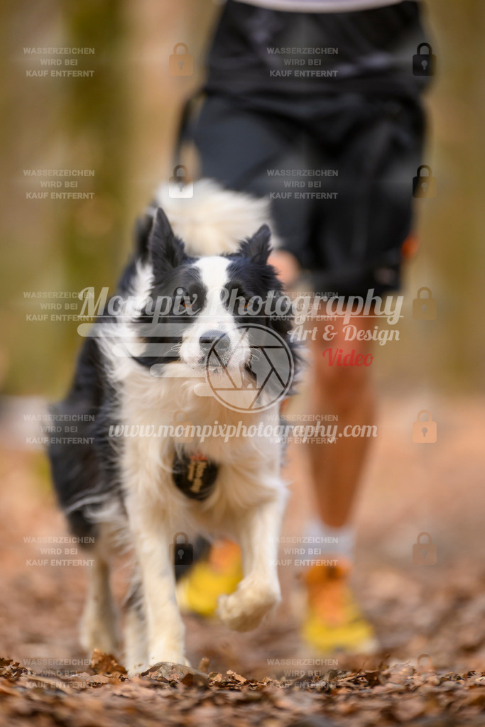 MompixPhotography_Habay2025_SA_CCL-82 | PayLife