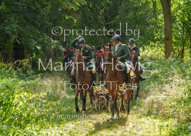 Jagd Perdoel_MarinaHewigMCH05013 | Fotografie, FotoArt, PferdesportArt, Pferdesportfotografie, Landschaftsfotografie, Reisefotografie, Reise, Pferde - Realisiert mit Pictrs.com