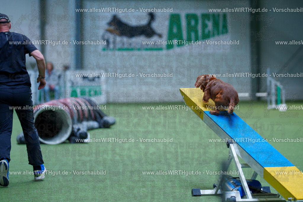 @allesWIRTHgut_Tierfotografie - www.allesWIRTHgut.de - 2604251446-7R505482 | Professionelle Tierfotografie in Mönchengladbach von Daniel Wirth (allesWIRTHgut). Liebevolle & natürliche Bilder von Hunden & Katzen für unvergessliche Erinnerungen.