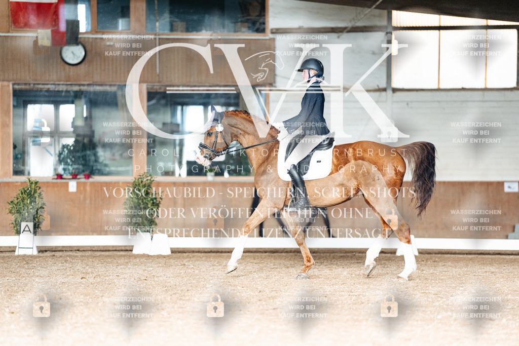 CK903259 | Turnierfotografie Pferdefotografie Trier Rheinland-Pfalz Pferdesport Reitsport Tierfotografie Sportfotografie Pferdevideo Pferdevideografie Equestrianvideography equestrianphotography  - Realisiert mit Pictrs.com