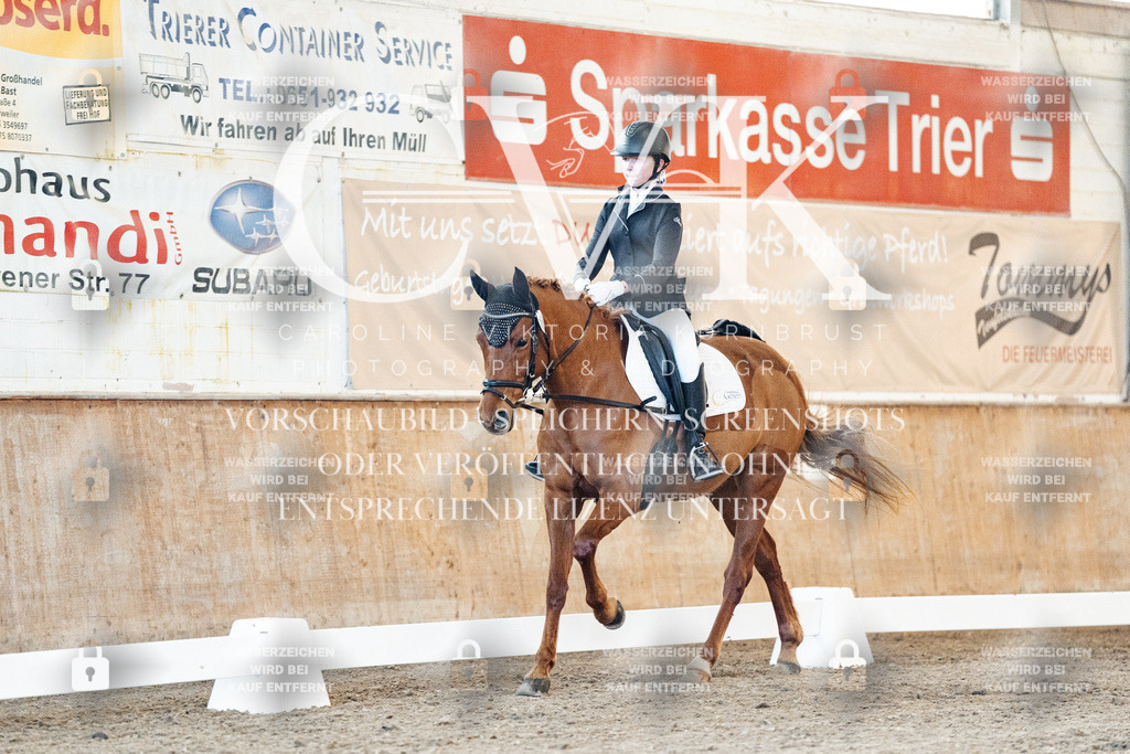 CK906617 | Turnierfotografie Pferdefotografie Trier Rheinland-Pfalz Pferdesport Reitsport Tierfotografie Sportfotografie Pferdevideo Pferdevideografie Equestrianvideography equestrianphotography  - Realisiert mit Pictrs.com