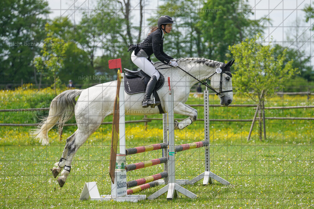 20240509-FAH02729 | Turnierbilder der Turnierfotografen Bayern, Pferdesport Fotografie, Reitsportbilder, Turnier Landberg am Lech, Turnierbilder bayern, Fotoagentur Herrmann