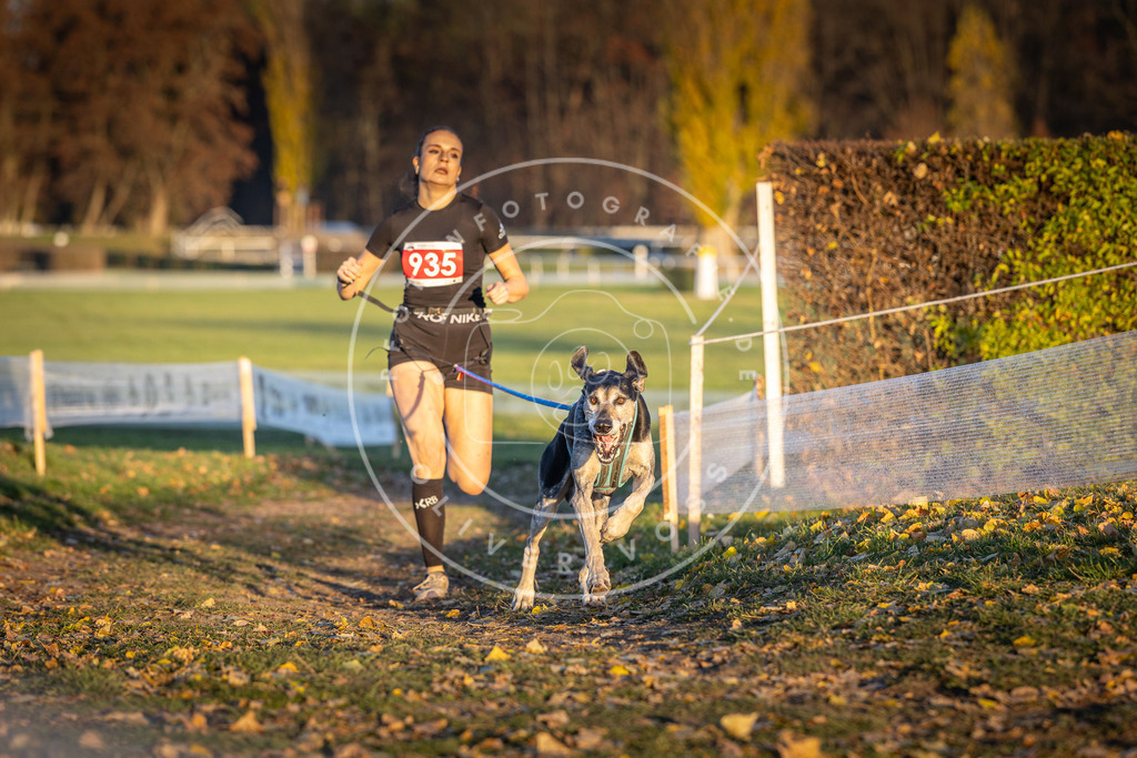 CaniXpix_DV3A5217 | Hundefotografie, Tierfotograf, Pfotenfotografie, Fotoshooting Hund, Hunde Portrait, Hundesport, Hundeportraits, Heideshooting, Hunde, Sportfotograf, Hundefotograf, Turnierhundsport, THS,  - Realisiert mit Pictrs.com