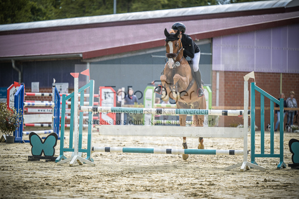 DOS_1618 | Entdecke hochwertige Reitturnierfotos von Foto Oger. Professionell, emotional und authentisch – jetzt Lieblingsmomente im Shop bestellen.Deutschlandweite Turnierfotografie. - Realisiert mit Pictrs.com
