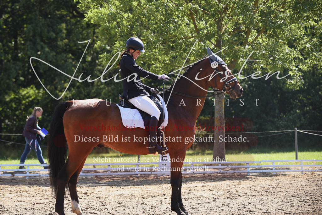 DSC_0460 | Pferde- und Turnierfotografie in Westsachsen. Pferdeportraits, Auftragszeichnungen und intuitive Kunst.