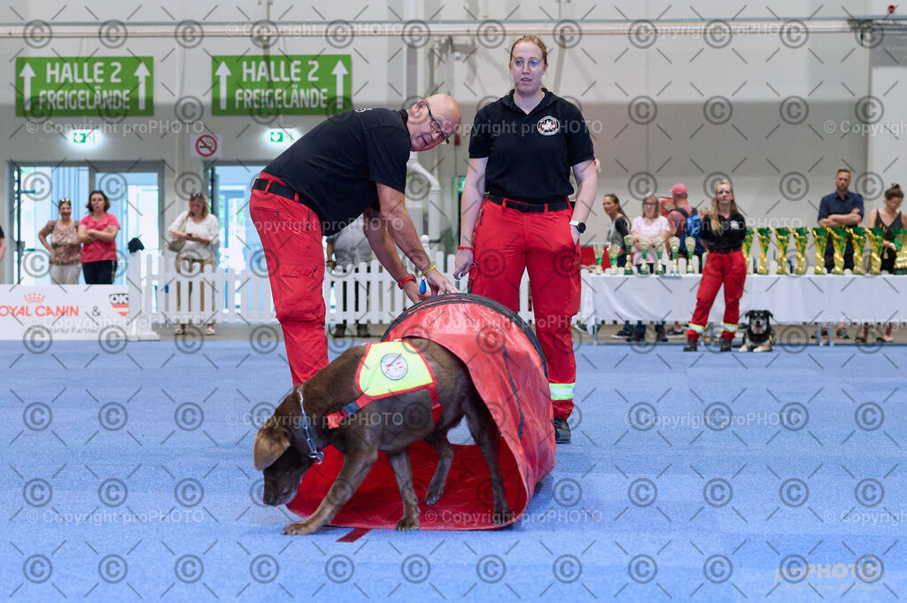 202406_ÖKV-IHA-Tulln24_DSC_3460 | proPHOTO - Realisiert mit Pictrs.com