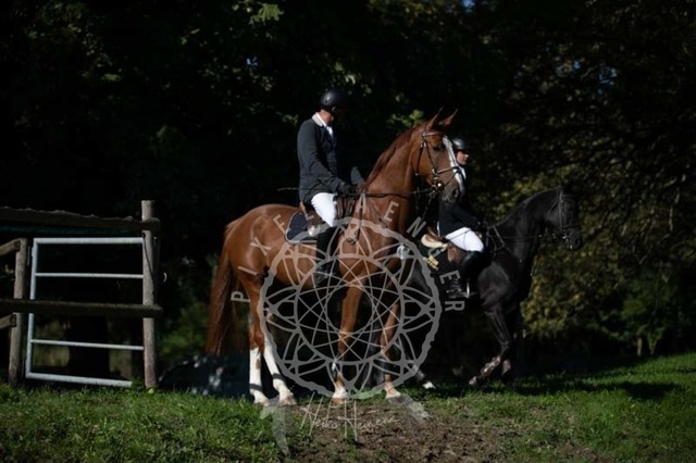 2B4A0233 | pixelfaenger - Realisiert mit Pictrs.com