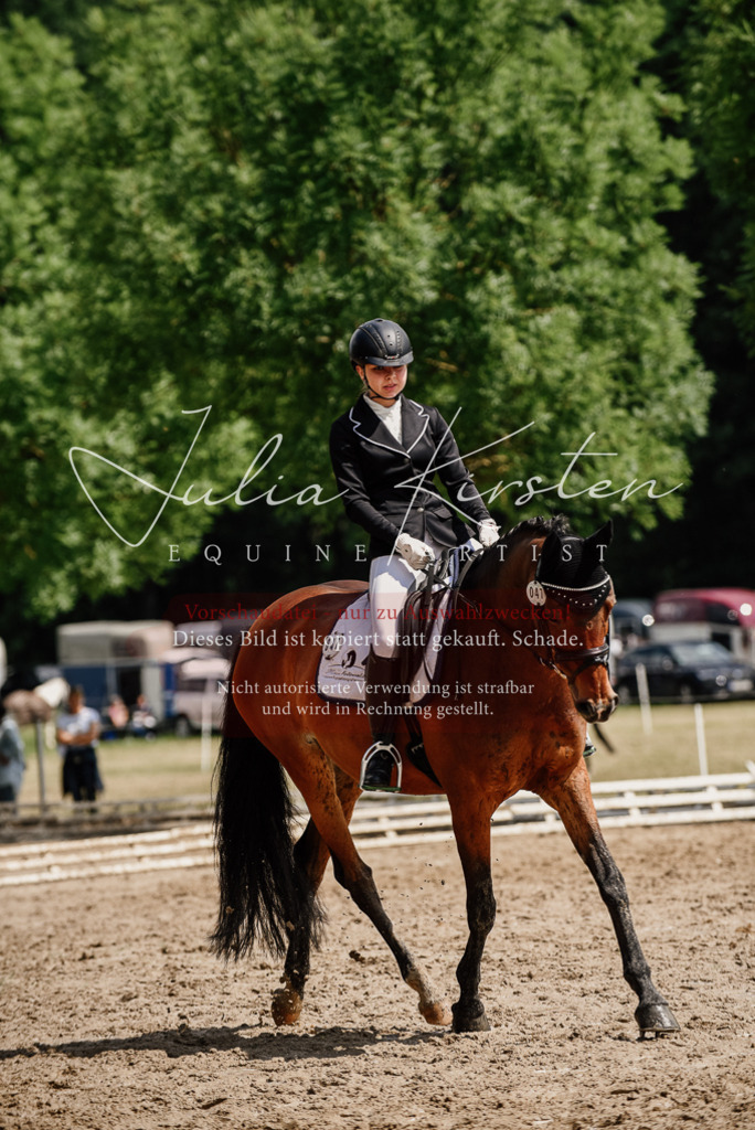 DSC_0922 | Pferde- und Turnierfotografie in Westsachsen. Pferdeportraits, Auftragszeichnungen und intuitive Kunst.