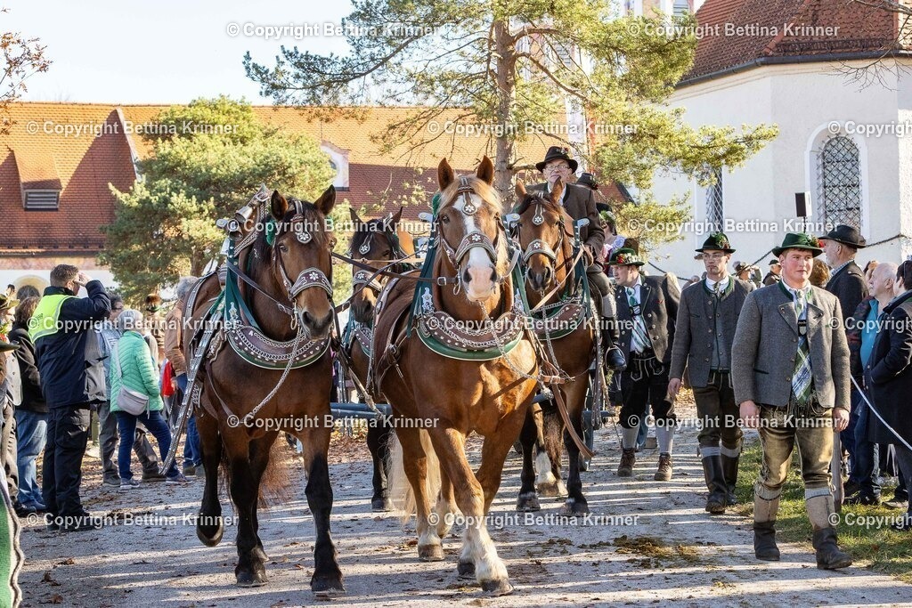 LBT25-1179 | foto-bettina-krinner - Realisiert mit Pictrs.com