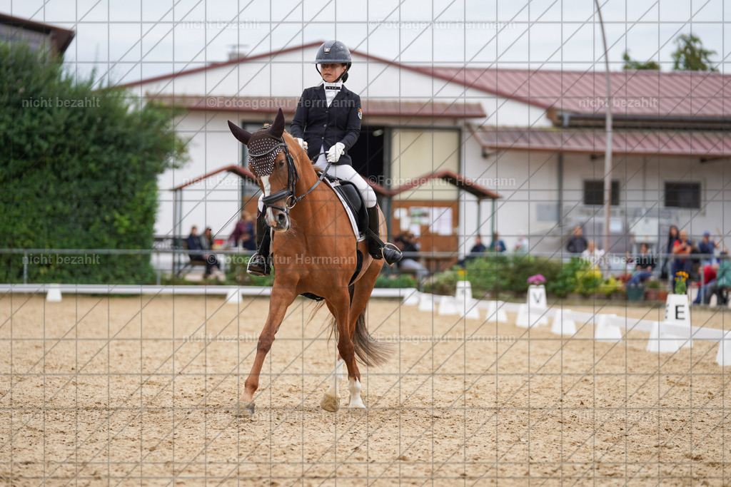 20240825-FAH09970 | Turnierbilder, Reitsportfotos, LAPO, Landesponyturnier, Turnierfotografen Bayern