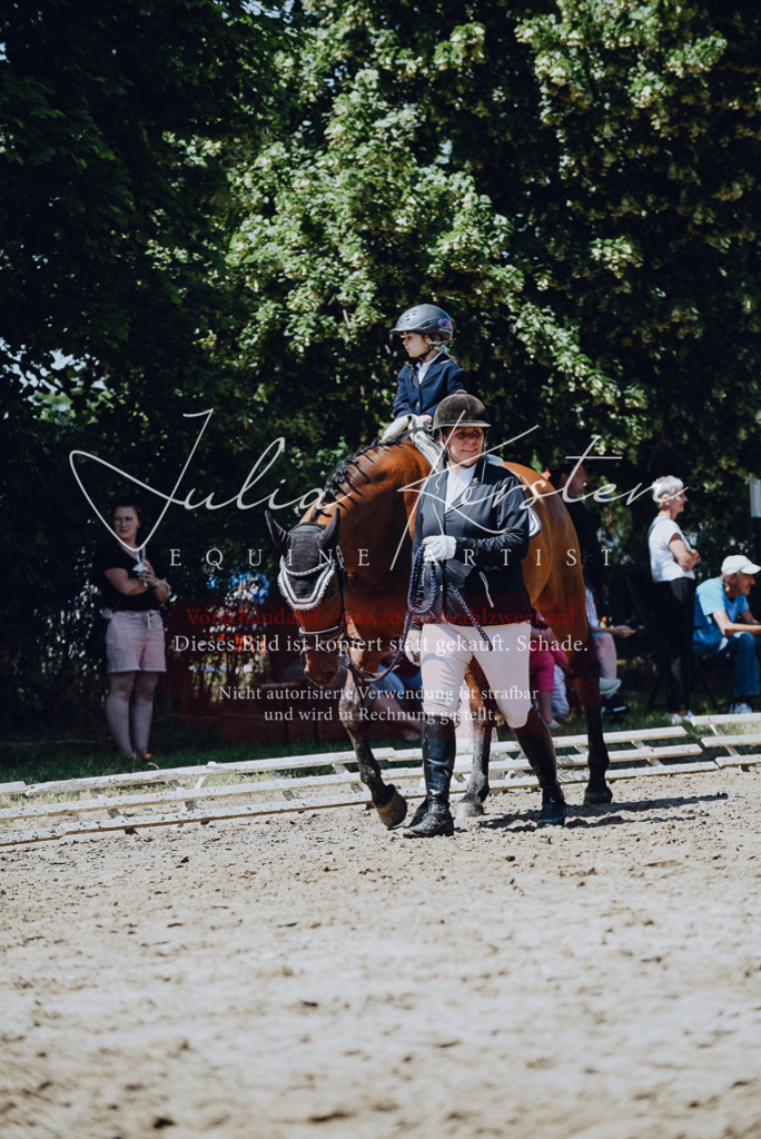DSC_2498 | Pferde- und Turnierfotografie in Westsachsen. Pferdeportraits, Auftragszeichnungen und intuitive Kunst.